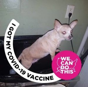 Meet your Posher, Sybil